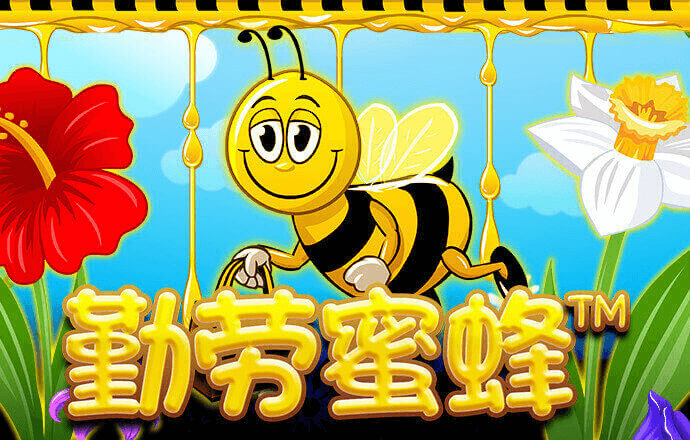 亚搏网app官方入口